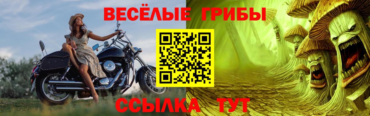 Людиново  Псилоцибиновые грибы мухоморы  Вход с VPN 